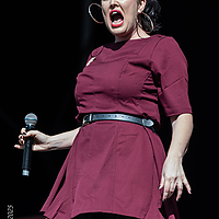 AZ8A1958.jpg