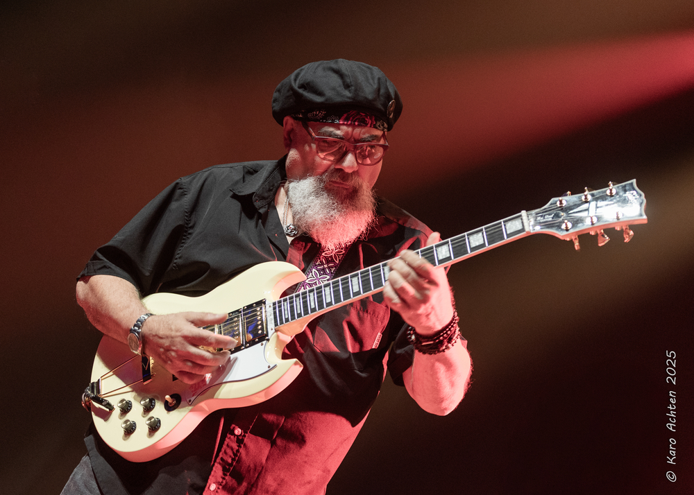 Jimmy Vivino, 
