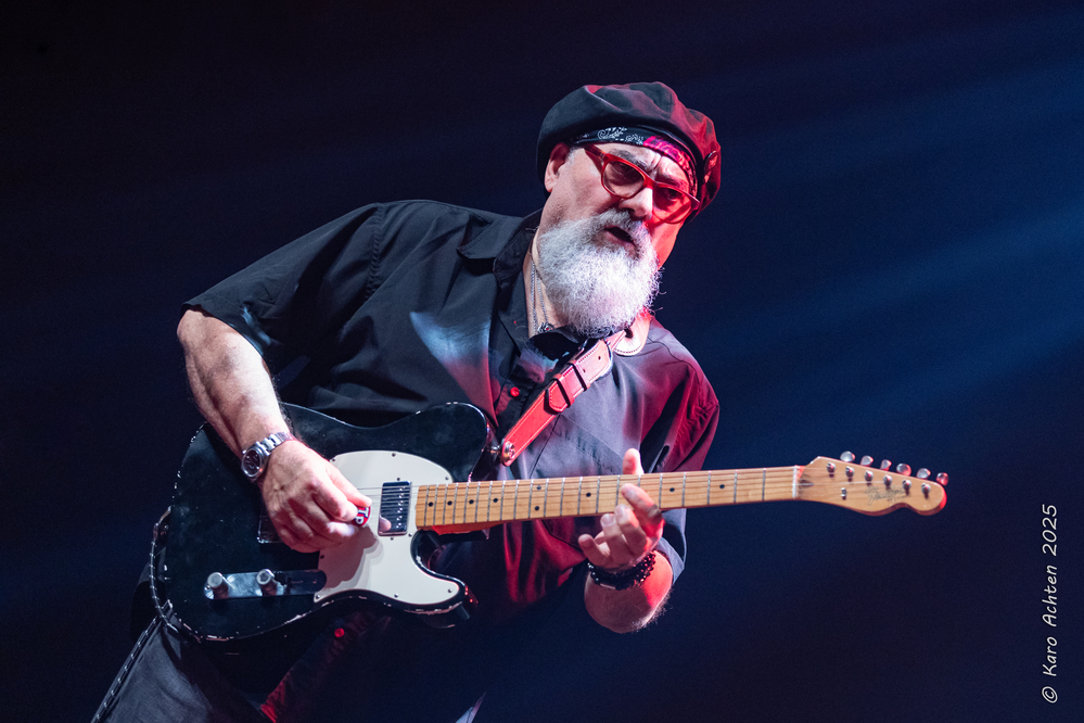 Jimmy Vivino, 
