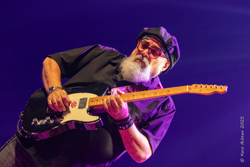 Jimmy Vivino, 
