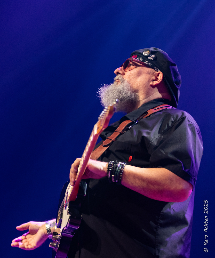 Jimmy Vivino, 
