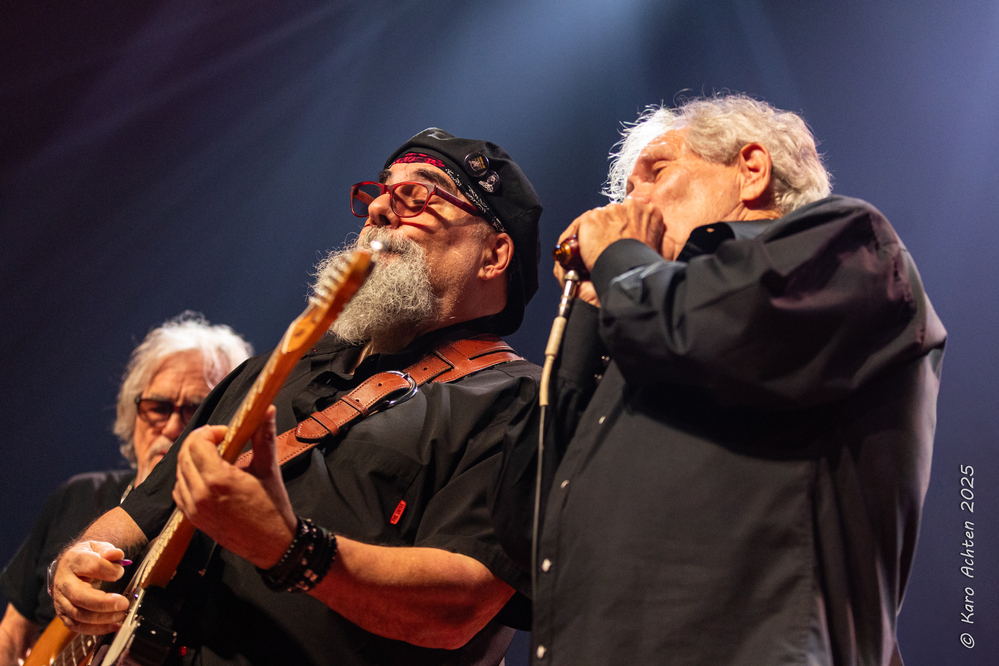 Rick Reed, Jimmy Vivino, Dale Spalding, 
