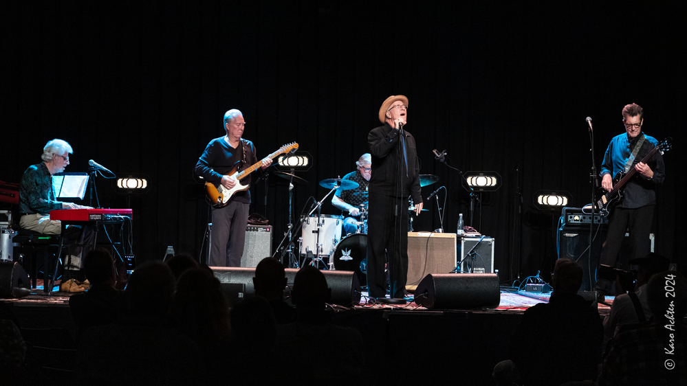 Bob Hall, Anson Funderburgh, Wes Star,  Mark Hummel, Bill Stuve, 

