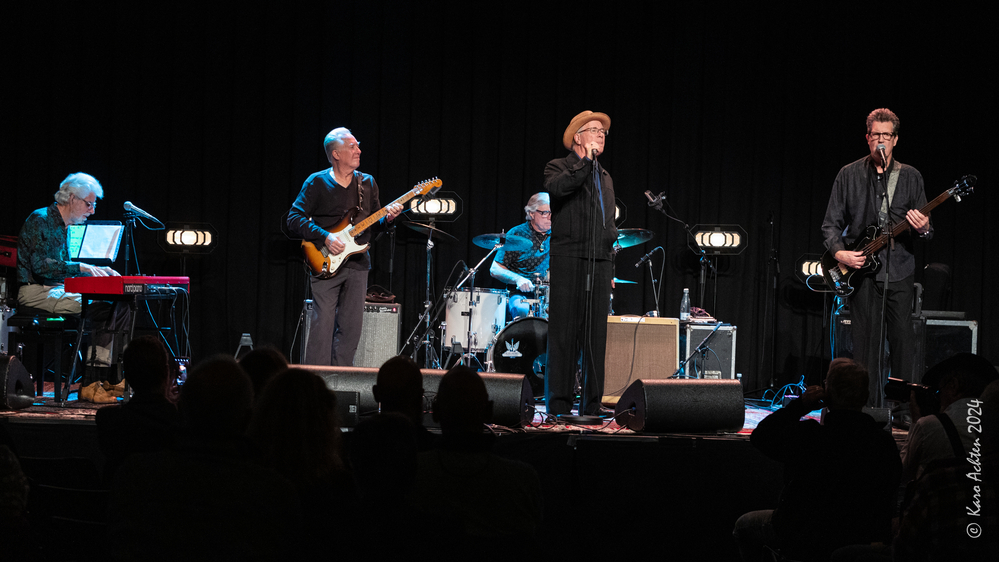Bob Hall, Anson Funderburgh, Wes Star,  Mark Hummel, Bill Stuve, 
